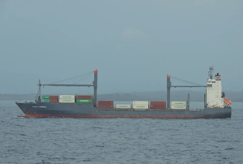 EASLINE QINGDAO Container Ship IMO 9221059 photo 8