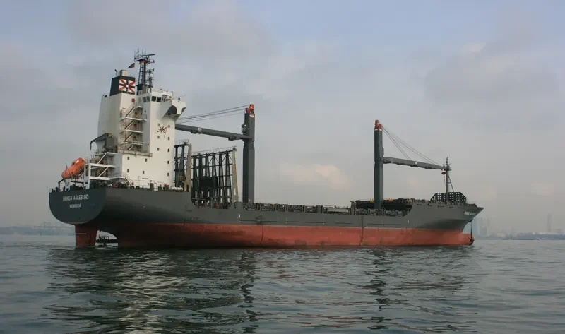 RT ODIN Container Ship IMO 9221061