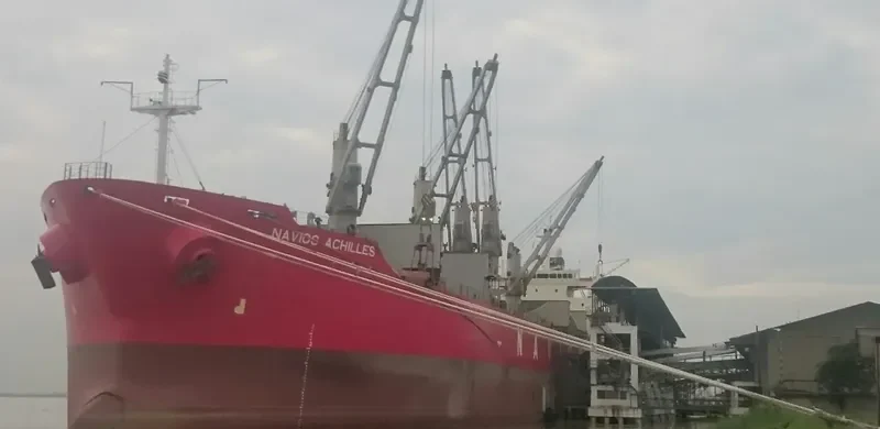 XIE HAI YONG FENG Bulk Carrier IMO 9221114