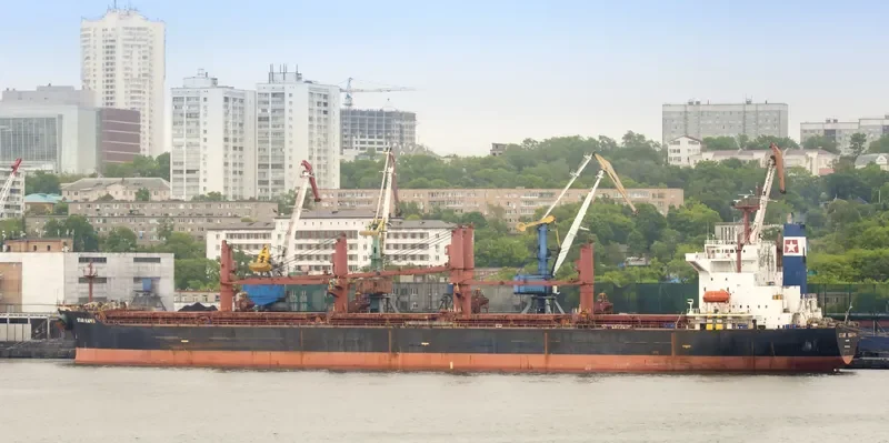 STAR ROYAL Bulk Carrier IMO 9221126