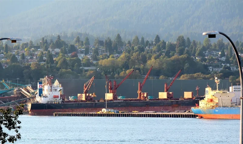 STAR ROYAL Bulk Carrier IMO 9221126 photo 3