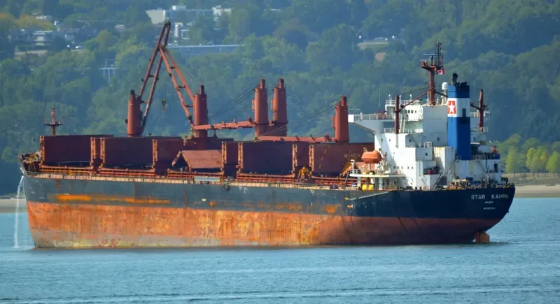 STAR ROYAL Bulk Carrier IMO 9221126 photo 5