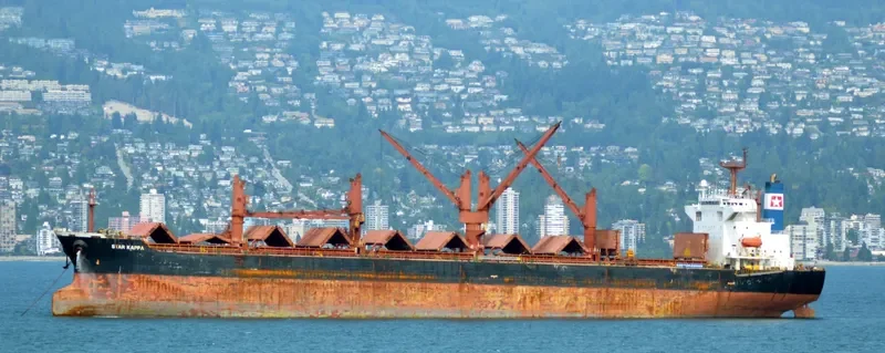 STAR ROYAL Bulk Carrier IMO 9221126 photo 6