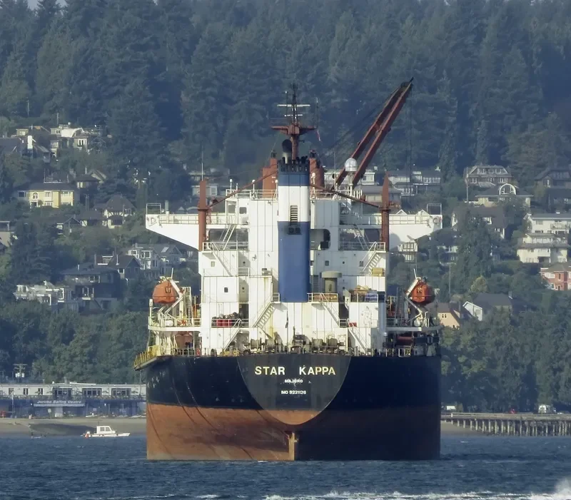 STAR ROYAL Bulk Carrier IMO 9221126 photo 7