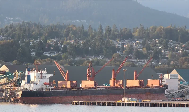 STAR ROYAL Bulk Carrier IMO 9221126 photo 8