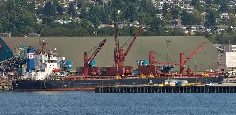 STAR ROYAL Bulk Carrier IMO 9221126 photo 10