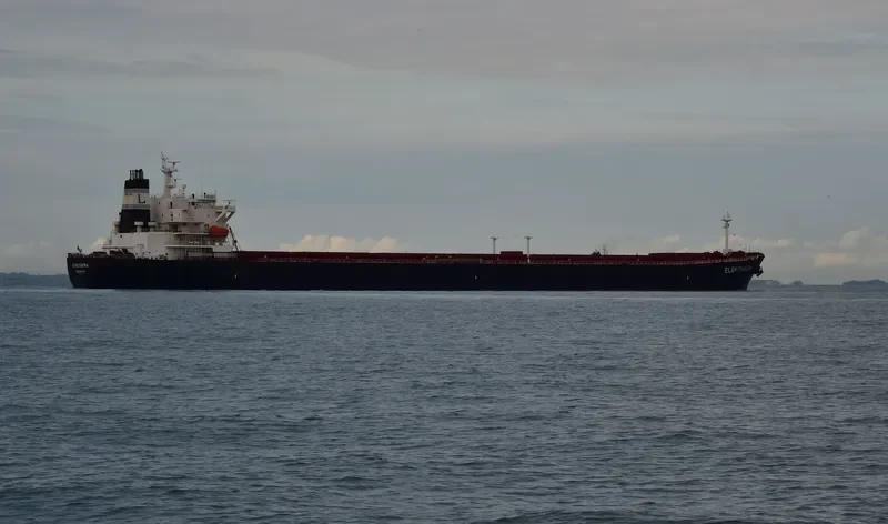 YI PENG 5 Bulk Carrier IMO 9221190 photo 3