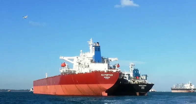 SUNNY VOYAGER Bulk Carrier IMO 9221217 photo 2