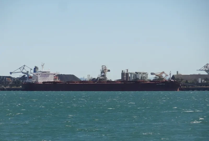 SUNNY VOYAGER Bulk Carrier IMO 9221217 photo 3