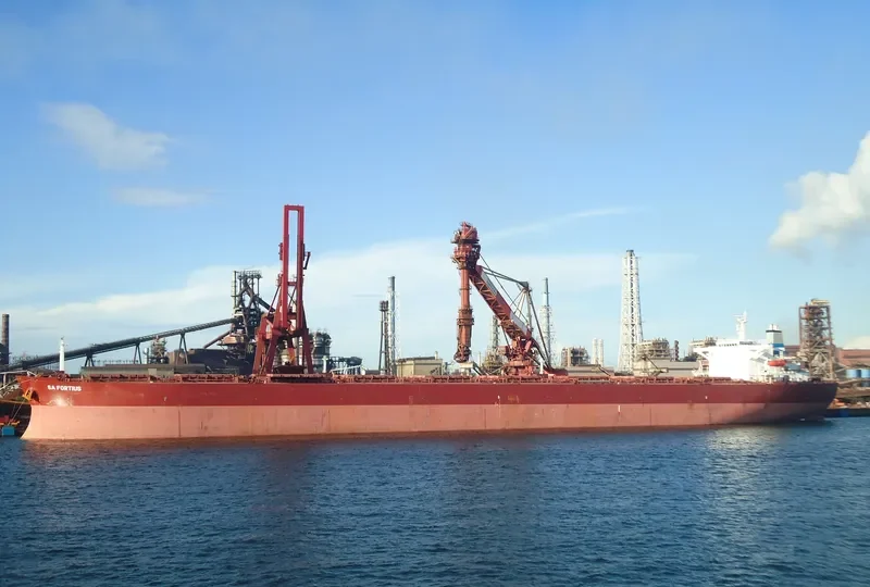 SUNNY VOYAGER Bulk Carrier IMO 9221217 photo 5