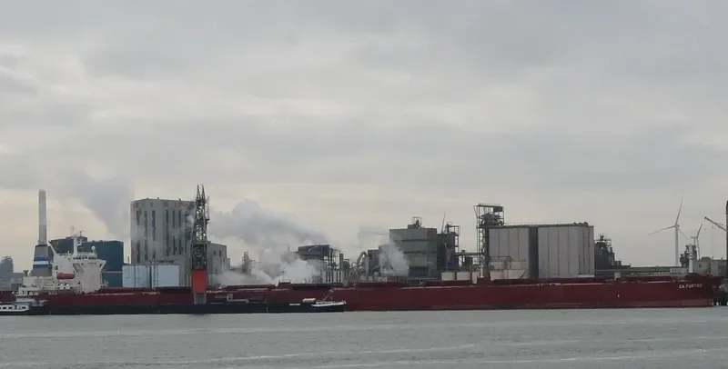 SUNNY VOYAGER Bulk Carrier IMO 9221217 photo 7