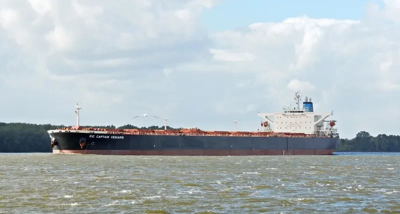 CIC CAPTAIN VENIAMIS Bulk Carrier IMO 9221229 photo 2