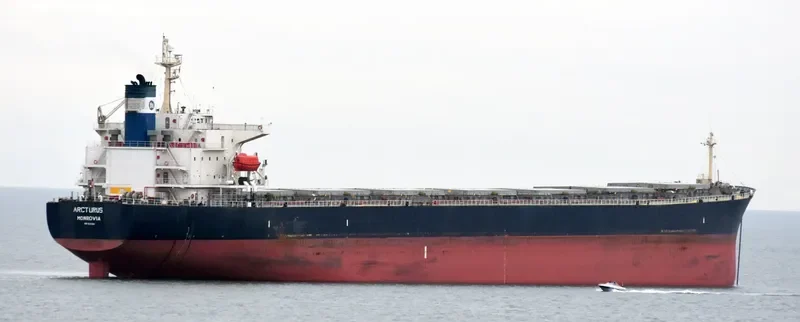 ARCTURUS Bulk Carrier IMO 9221334 photo 2