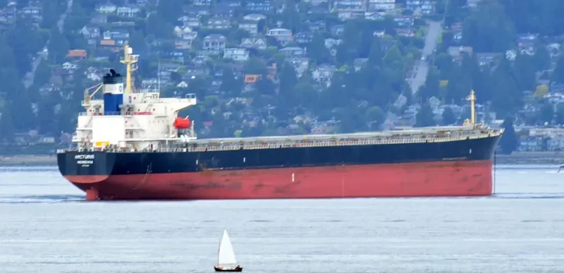 ARCTURUS Bulk Carrier IMO 9221334 photo 3