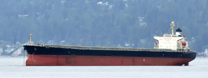 ARCTURUS Bulk Carrier IMO 9221334 photo 4
