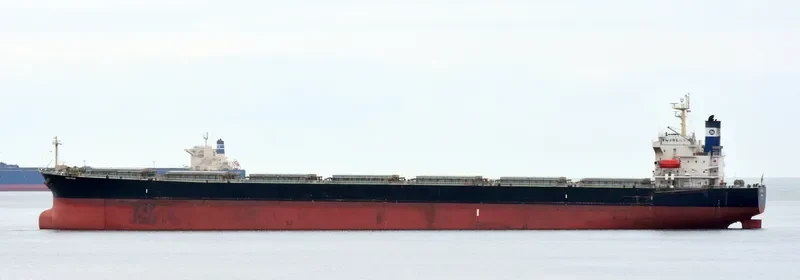 ARCTURUS Bulk Carrier IMO 9221334 photo 5