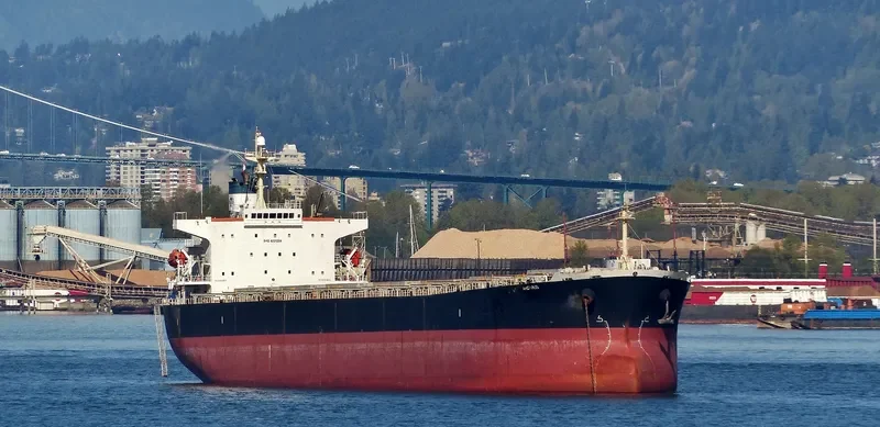 ARCTURUS Bulk Carrier IMO 9221334 photo 7