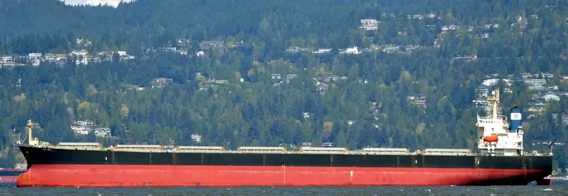 ARCTURUS Bulk Carrier IMO 9221334 photo 8