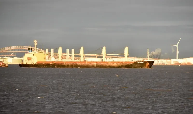 GEORGIA P Bulk Carrier IMO 9221360 photo 2
