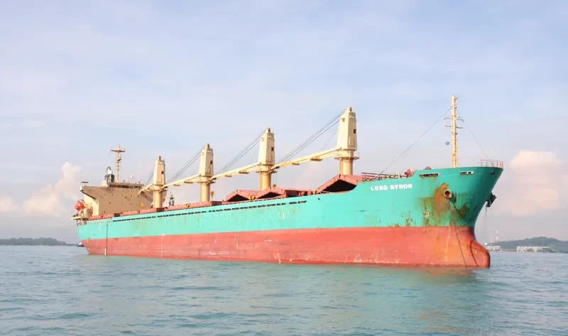 GEORGIA P Bulk Carrier IMO 9221360 photo 5