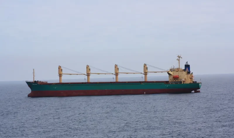 GEORGIA P Bulk Carrier IMO 9221360 photo 7