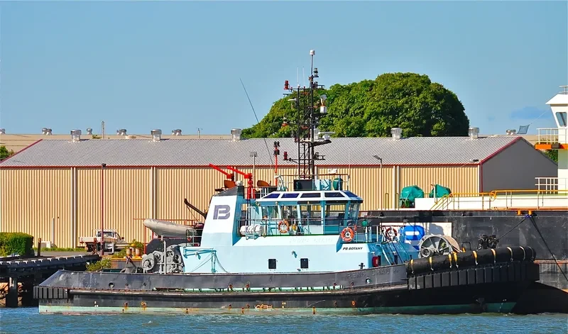 SL BOTANY General Cargo IMO 9221401 photo 7