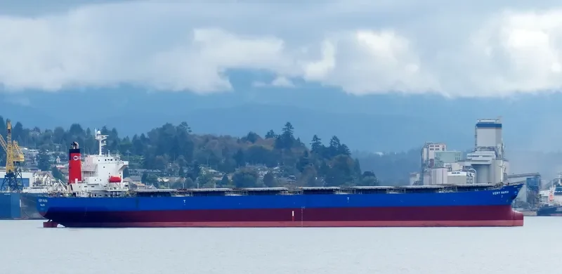 ELVA Bulk Carrier IMO 9221437 photo 4