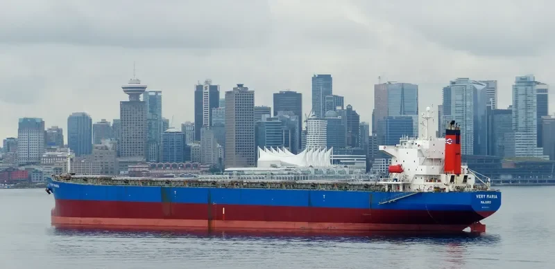 ELVA Bulk Carrier IMO 9221437 photo 5