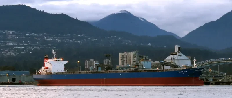 ELVA Bulk Carrier IMO 9221437 photo 6