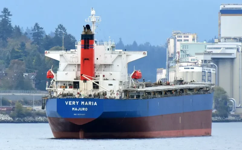 ELVA Bulk Carrier IMO 9221437 photo 7