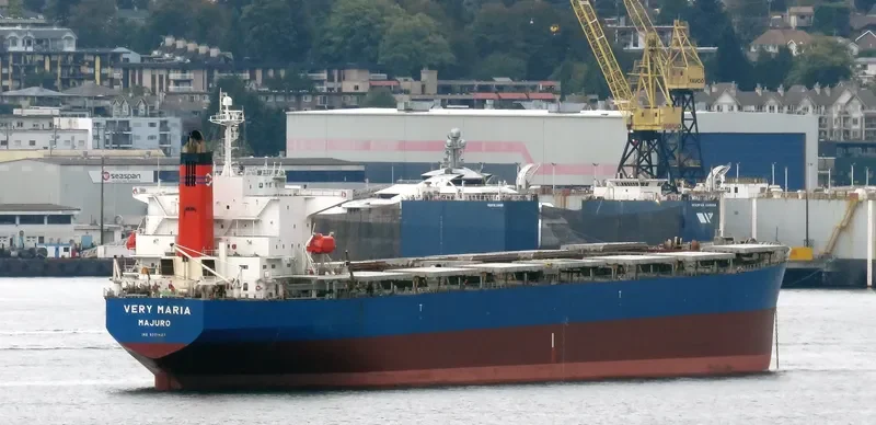 ELVA Bulk Carrier IMO 9221437 photo 8