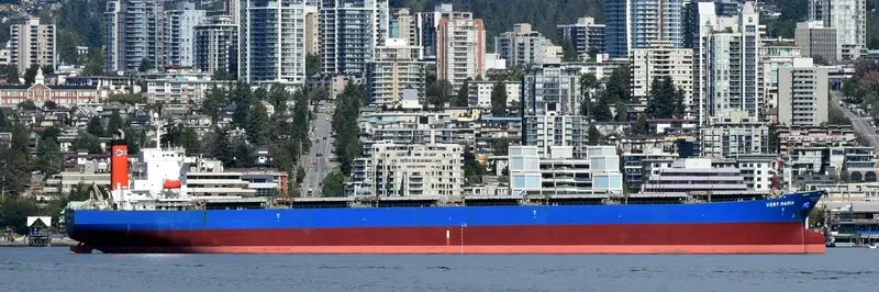 ELVA Bulk Carrier IMO 9221437 photo 9