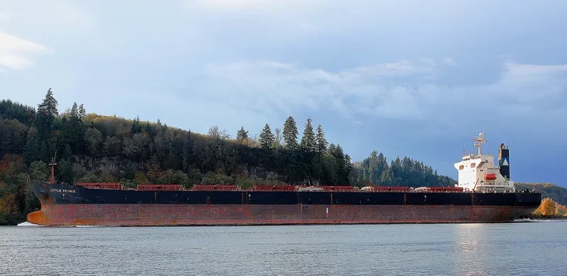 CPT DIMITRIOS S Bulk Carrier IMO 9221592