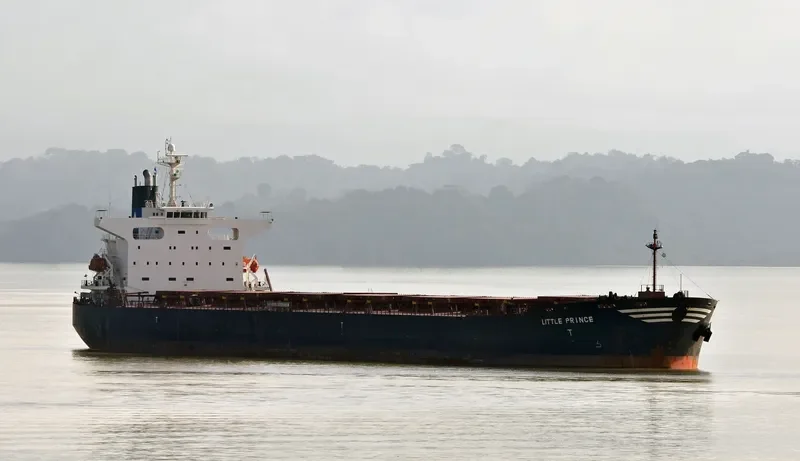 CPT DIMITRIOS S Bulk Carrier IMO 9221592 photo 3