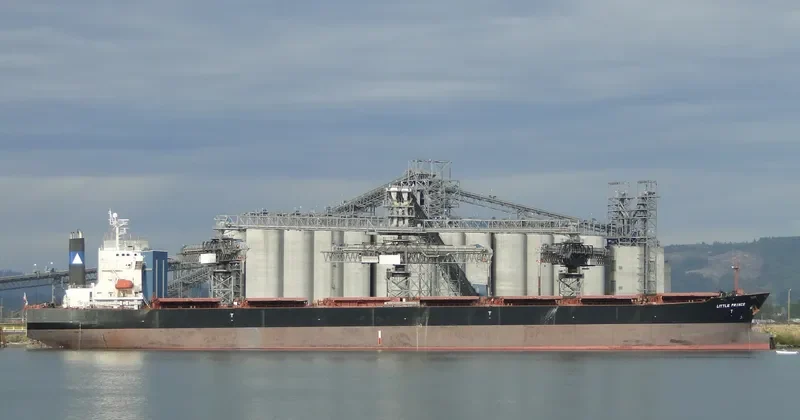 CPT DIMITRIOS S Bulk Carrier IMO 9221592 photo 8