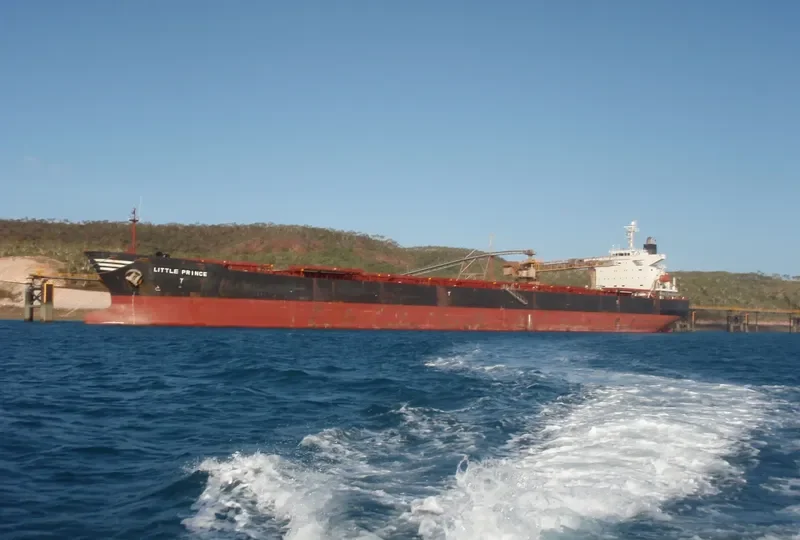 CPT DIMITRIOS S Bulk Carrier IMO 9221592 photo 10