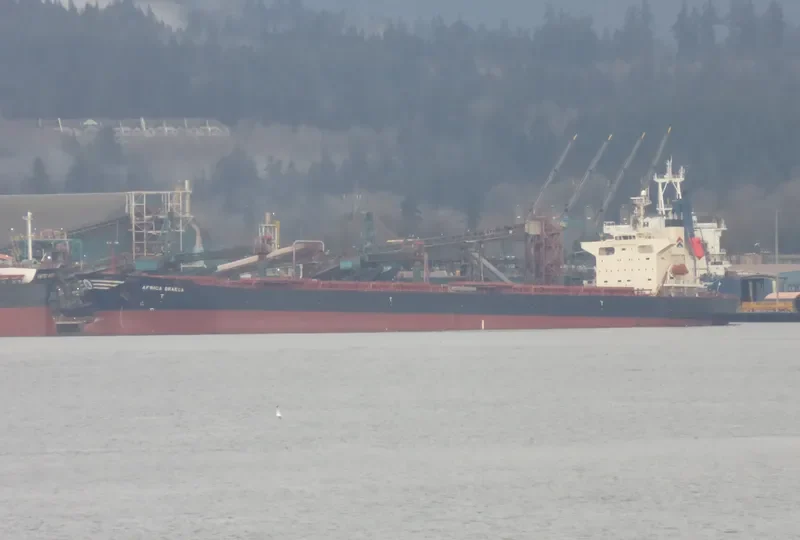 AFRICA GRAECA Bulk Carrier IMO 9221621