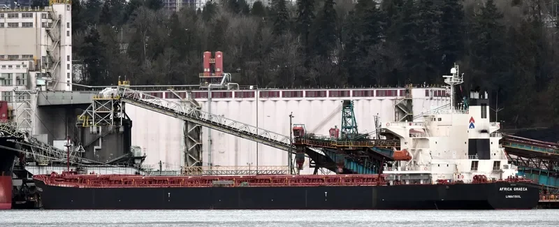AFRICA GRAECA Bulk Carrier IMO 9221621 photo 2