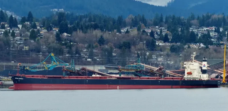 AFRICA GRAECA Bulk Carrier IMO 9221621 photo 3
