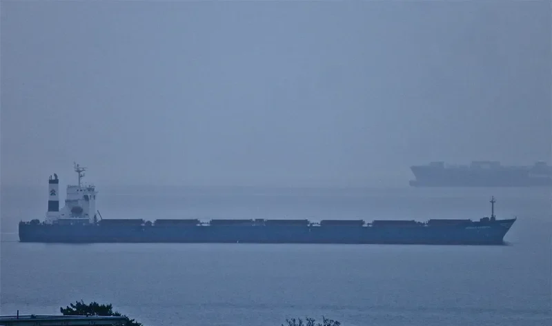 AFRICA GRAECA Bulk Carrier IMO 9221621 photo 8