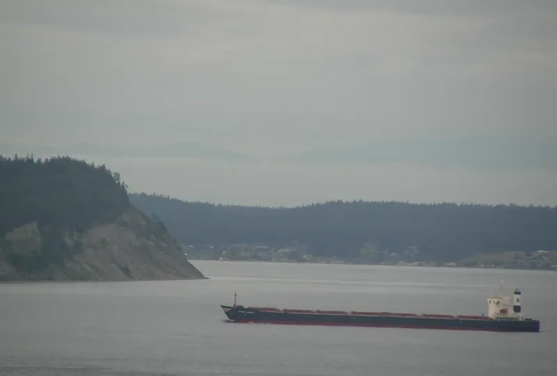 AFRICA GRAECA Bulk Carrier IMO 9221621 photo 10