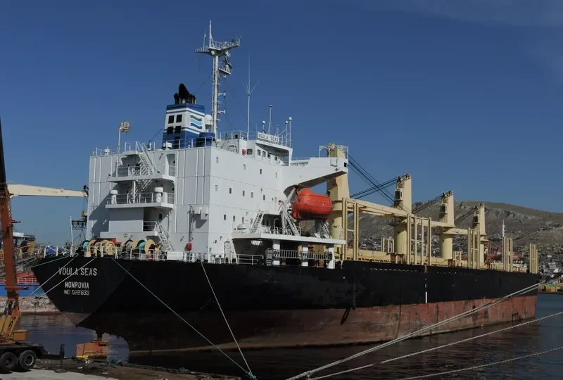 SUPER SARKAS Bulk Carrier IMO 9221633 photo 5