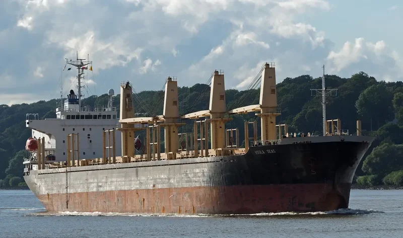 SUPER SARKAS Bulk Carrier IMO 9221633 photo 6