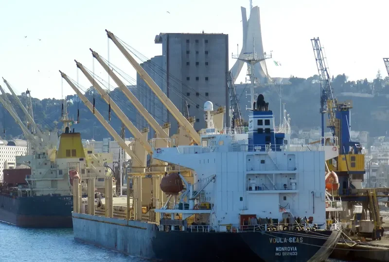 SUPER SARKAS Bulk Carrier IMO 9221633 photo 8