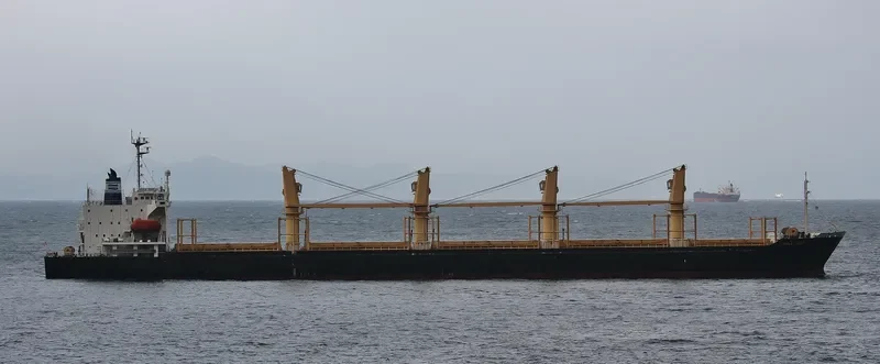 SUPER SARKAS Bulk Carrier IMO 9221633 photo 10