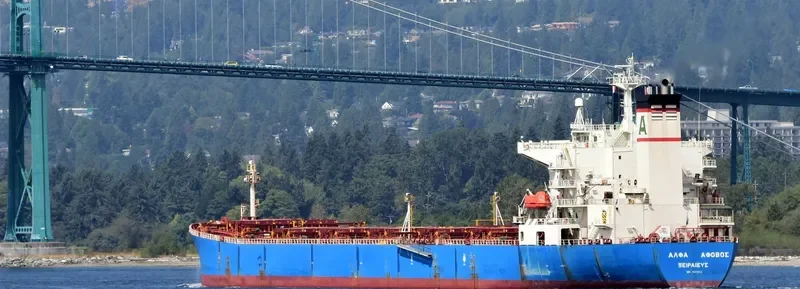 ALPHA AFOVOS Bulk Carrier IMO 9221853 photo 8