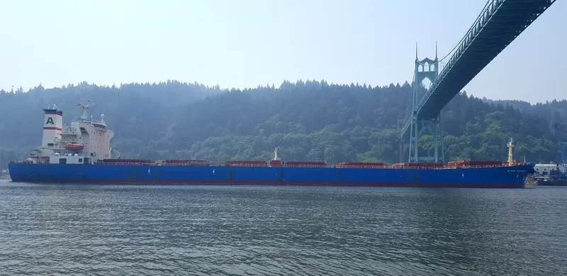 BAO NENG 16 Bulk Carrier IMO 9221865 photo 4
