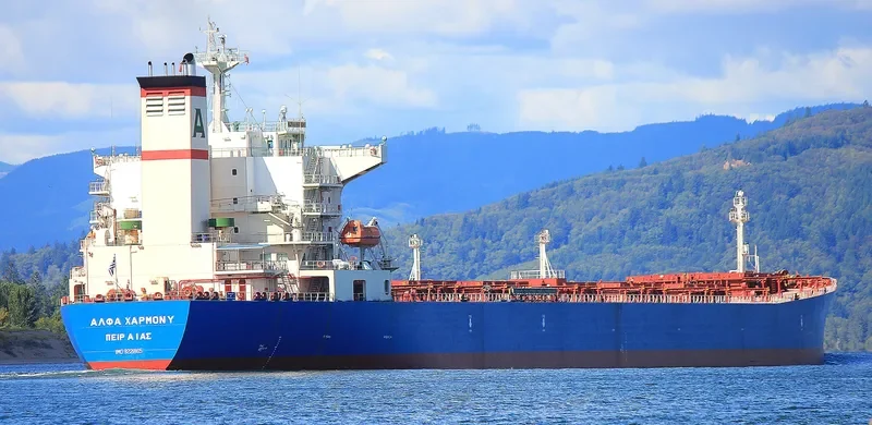 BAO NENG 16 Bulk Carrier IMO 9221865 photo 6