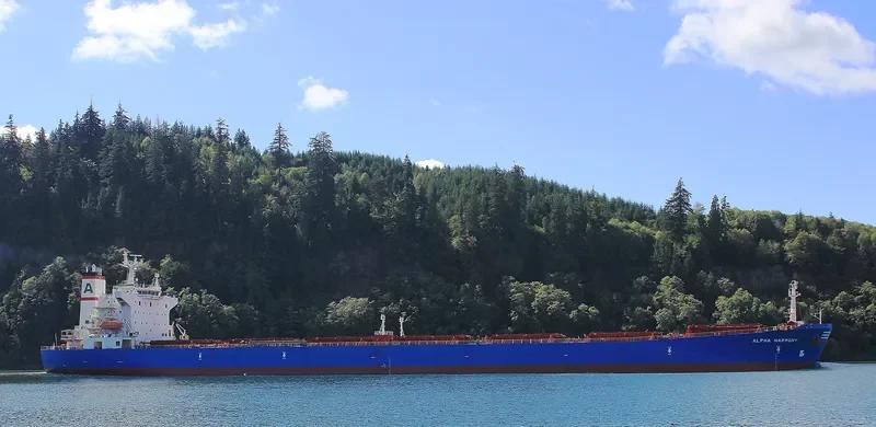 BAO NENG 16 Bulk Carrier IMO 9221865 photo 8