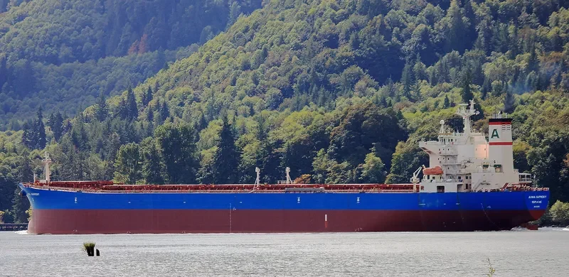 BAO NENG 16 Bulk Carrier IMO 9221865 photo 9